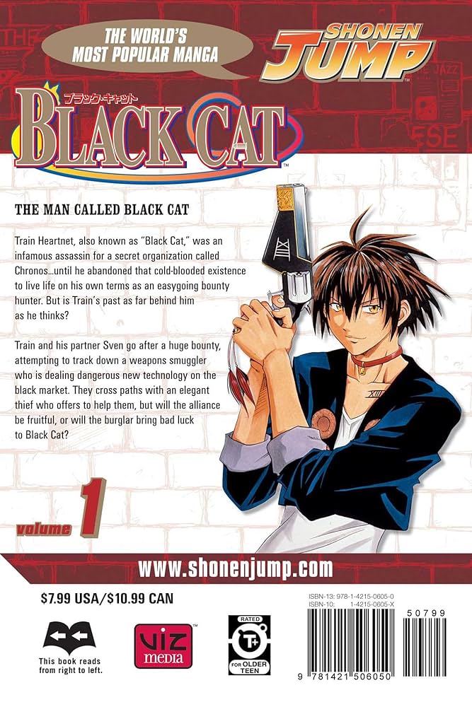 漫画   BLACK  CAT  サイン ブラックキャット 直筆サイン色紙 漫画 BLACK CAT 非売品 矢吹