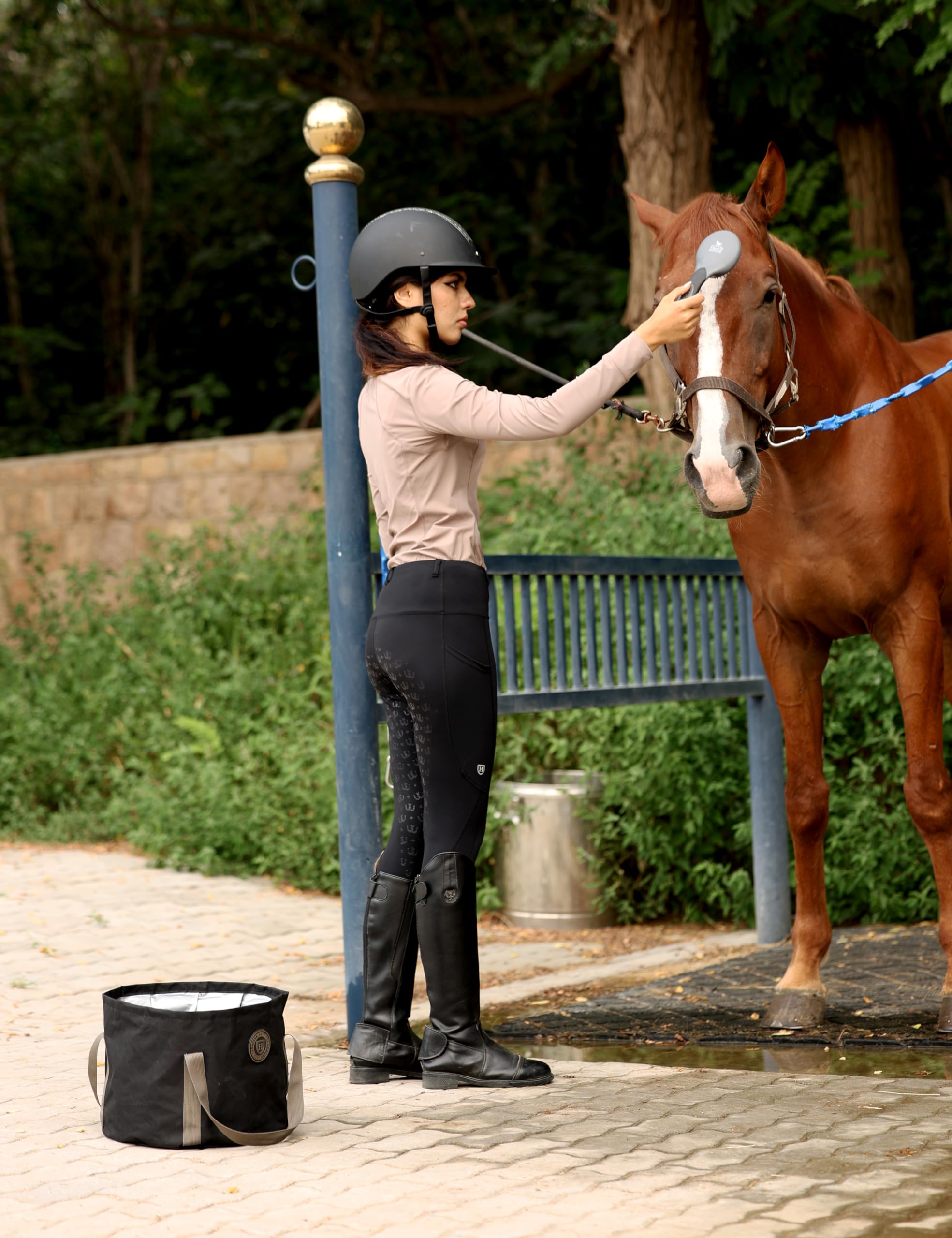 Harrison Howard Kit de aseo de caballos de 9 piezas Equine Care Series - Juego de cepillos para caballos con bolsa organizadora negra