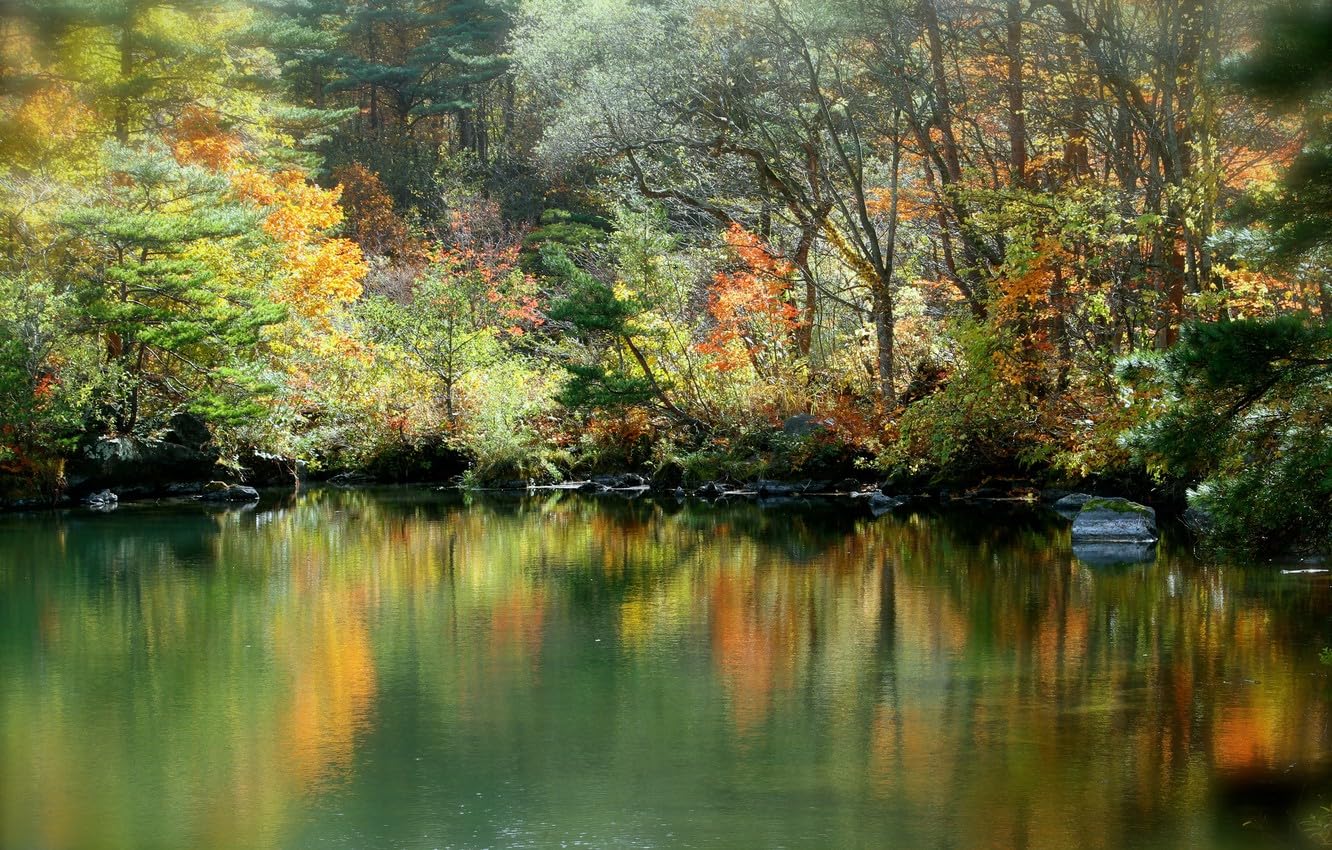 Drewniane puzzle, najlepszy prezent dla dorosłych i dzieci, elementy układanki o unikalnym kształcie, las, 87x57cm