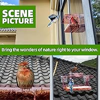 Vista 5 de Comedero para pájaros con ventana con ganchos autoadhesivos que no dejan marcas, transparente y transparente, regalo de observación de aves
