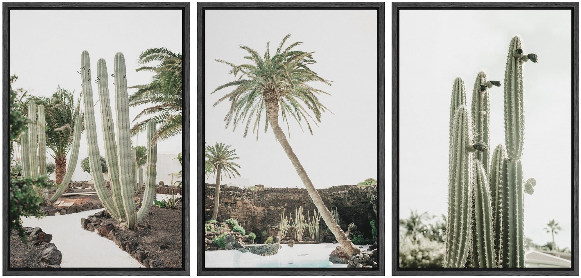 Framed Canvas Print Wall Art Set Emerald Green Cactus Palm Tree Desert Landscape Nature Wilderness Photography Modern Art Decorative Minimalist Floral Botanical for Bedroom - 16"x24"x3 Black