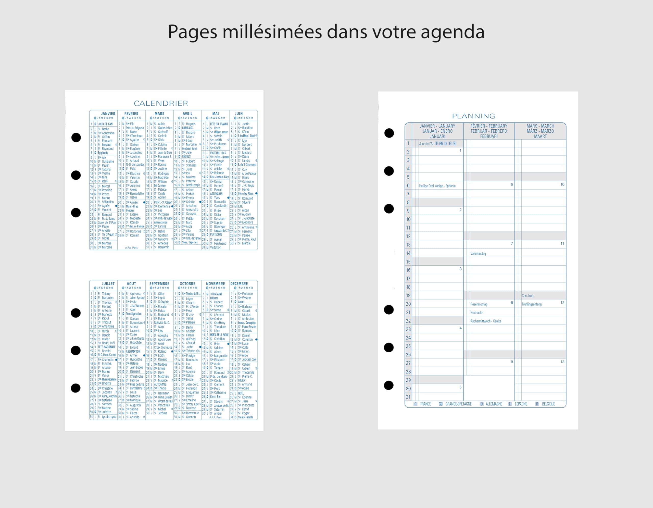 Exacompta Exatime 17 Light Marmara 7452 - Agenda organizer Framboise