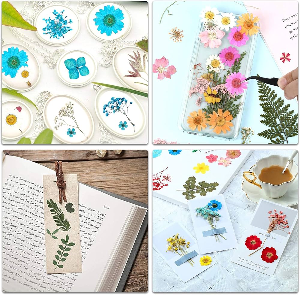 47 Pièces Vraies Fleurs Pressées Séchées, Florales Naturelles Feuille De Fleurs Pressées Pour