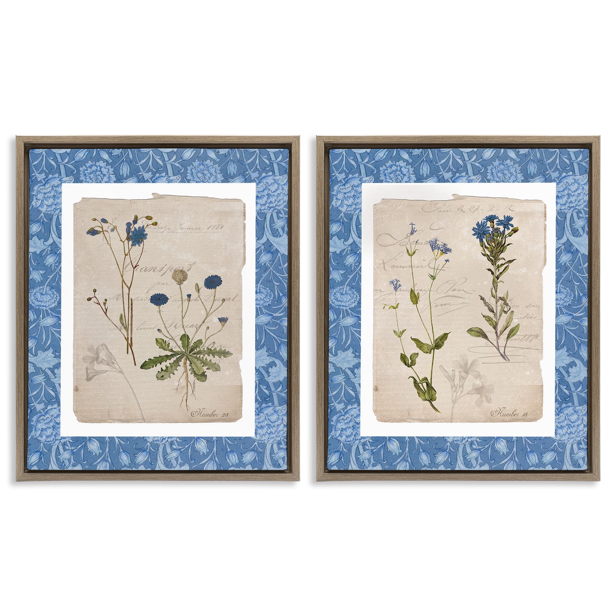 Stupell Industries 'Blue Botanical Herbs', 2pc Floating Frame Art Set 2, Brown, 17 x 21, Ready to Hang Picture Décor, USA Made, By Artist Livi Finn