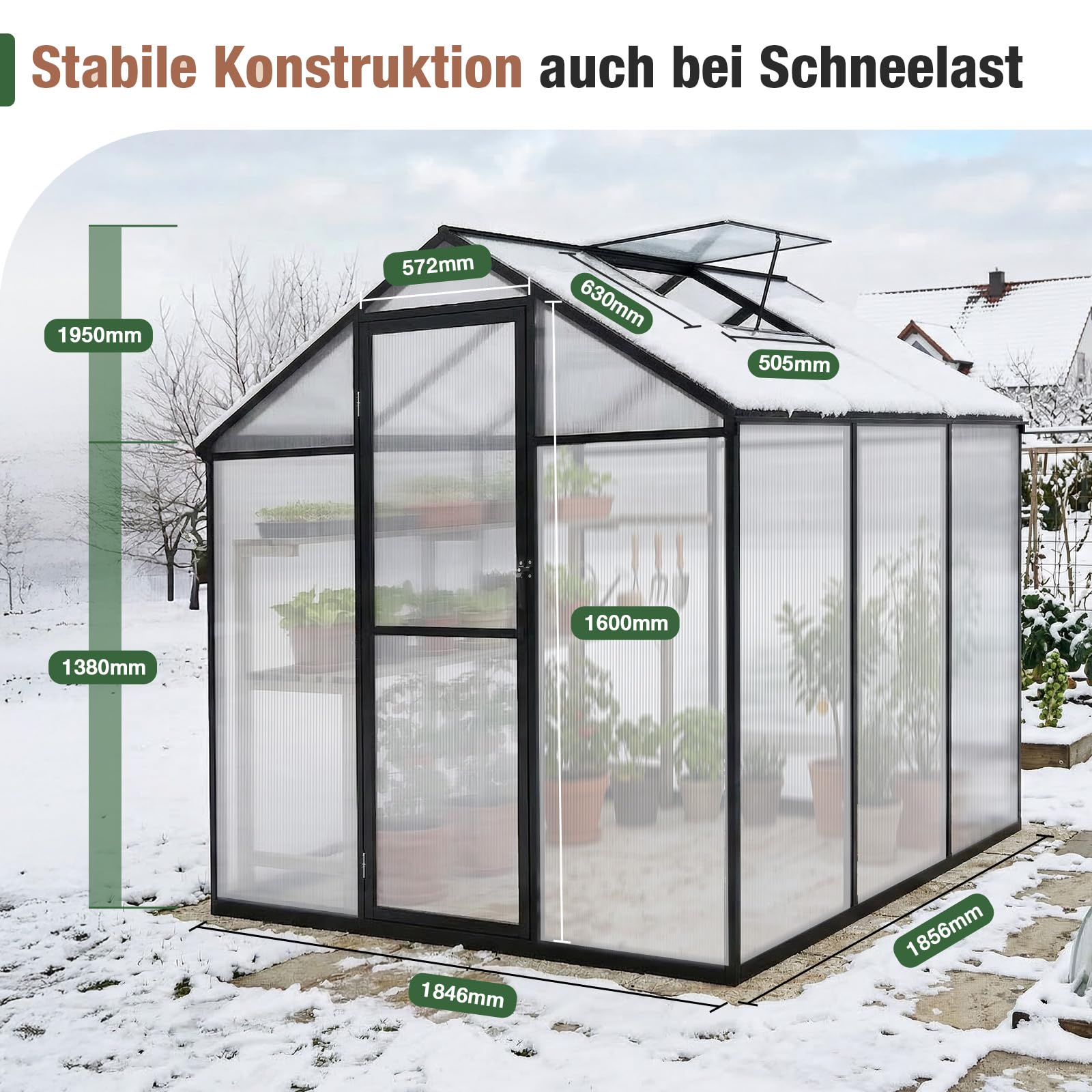 Sekey Gewächshaus Aluminium Treibhaus für Garten & Pflanzen - Stabiles Tomatenhaus wetterfest & Winterfest, 4 mm Hohlkammerplatten, nach außen öffnende Tür mit verlängertem Griff, 185x185x195cm