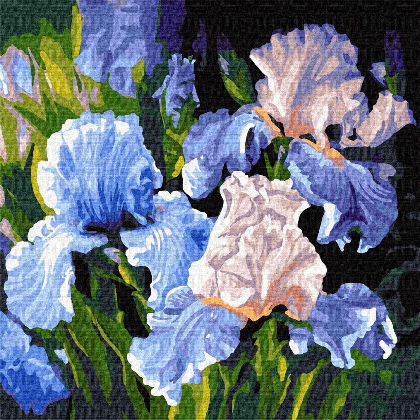 Ideyka Painting by Numbers kit KHO3190 Bright Irises