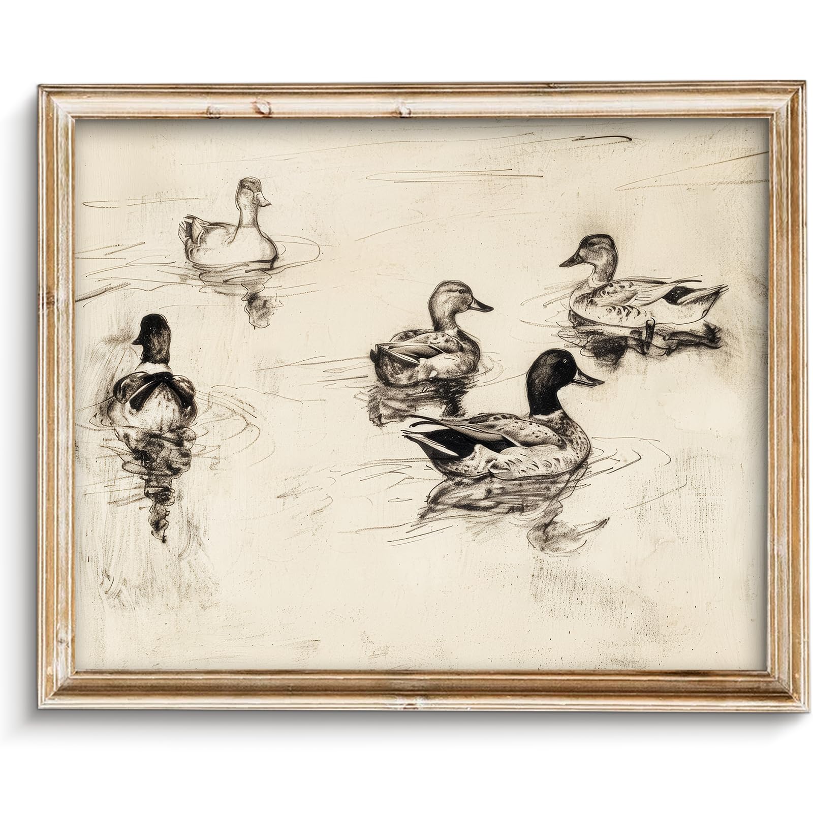 Photo 1 of SQGGZH Vintage Ducks Sketch Art Print - 8" x 10" Unframed