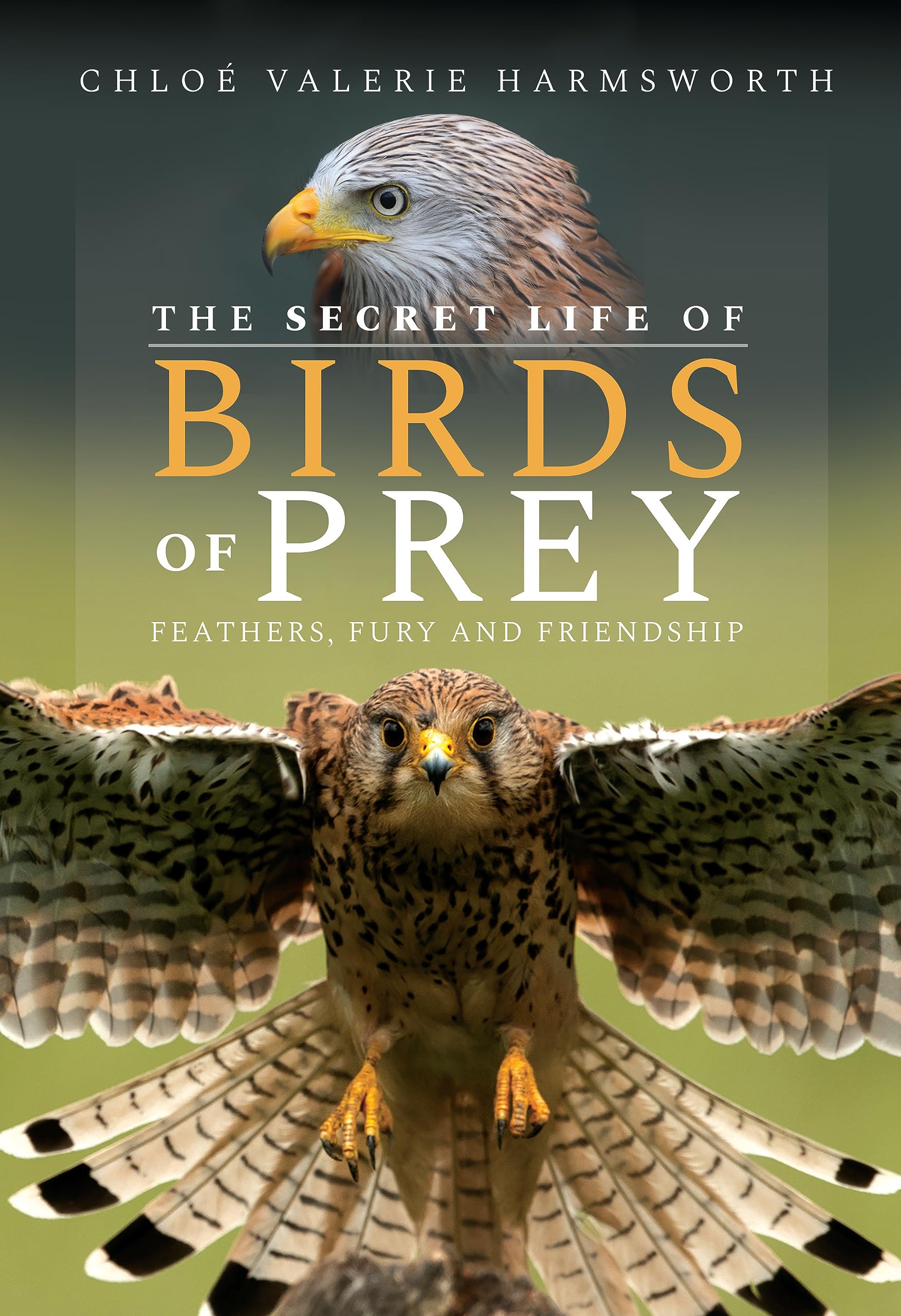 The Secret Life of Birds of Prey by Chloe Valerie Harmsworth HARDBACK
