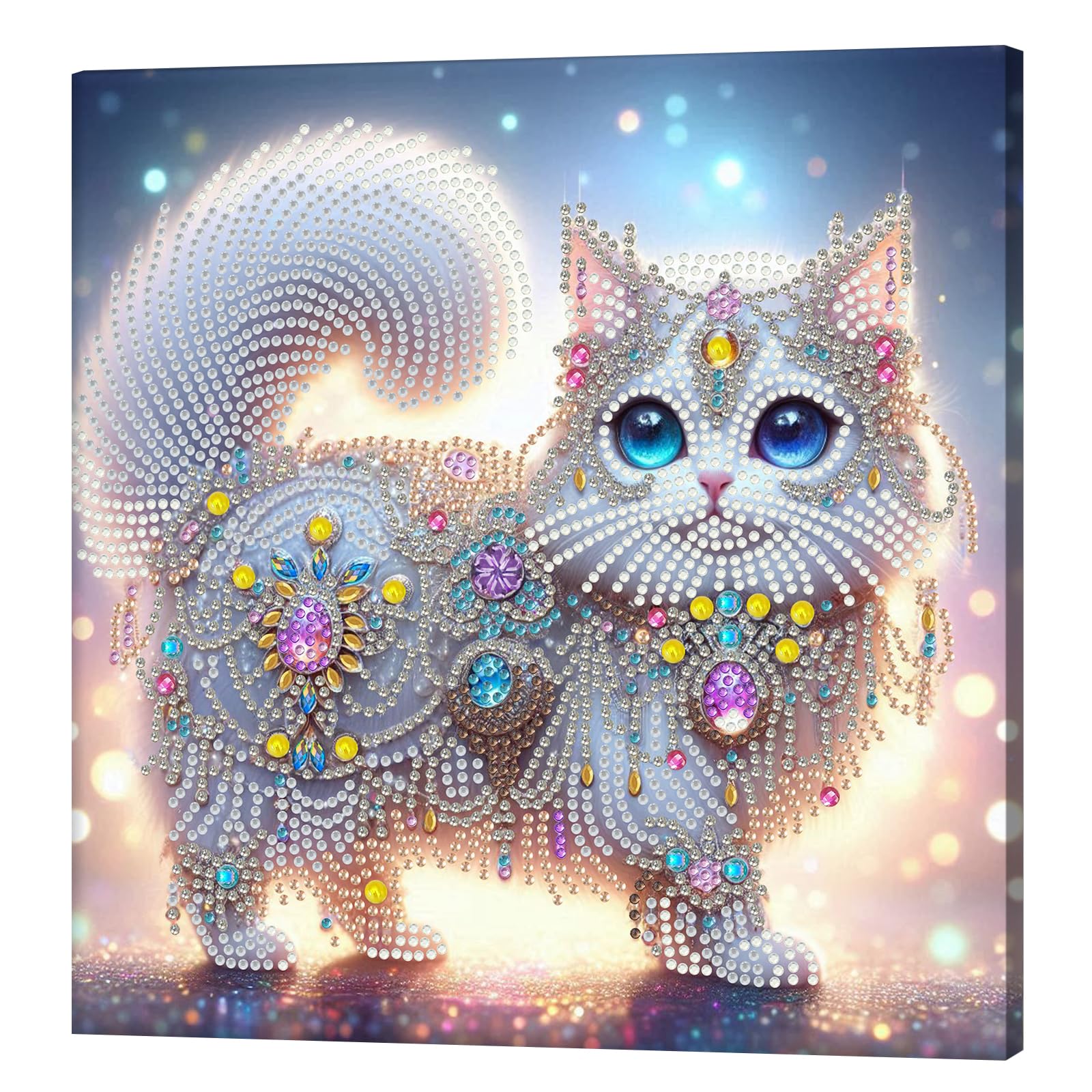 Kexpery 5D Diamond Painting Kits Partial Frame 25x25cm for Beginners Gems