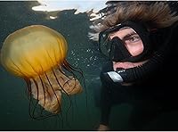 Vista 4 de ATOMIC Aquatics Máscara de buceo sin marco Venom con falda rígida de silicona Cómoda máscara de natación ultra transparente para buceo y esnórquel