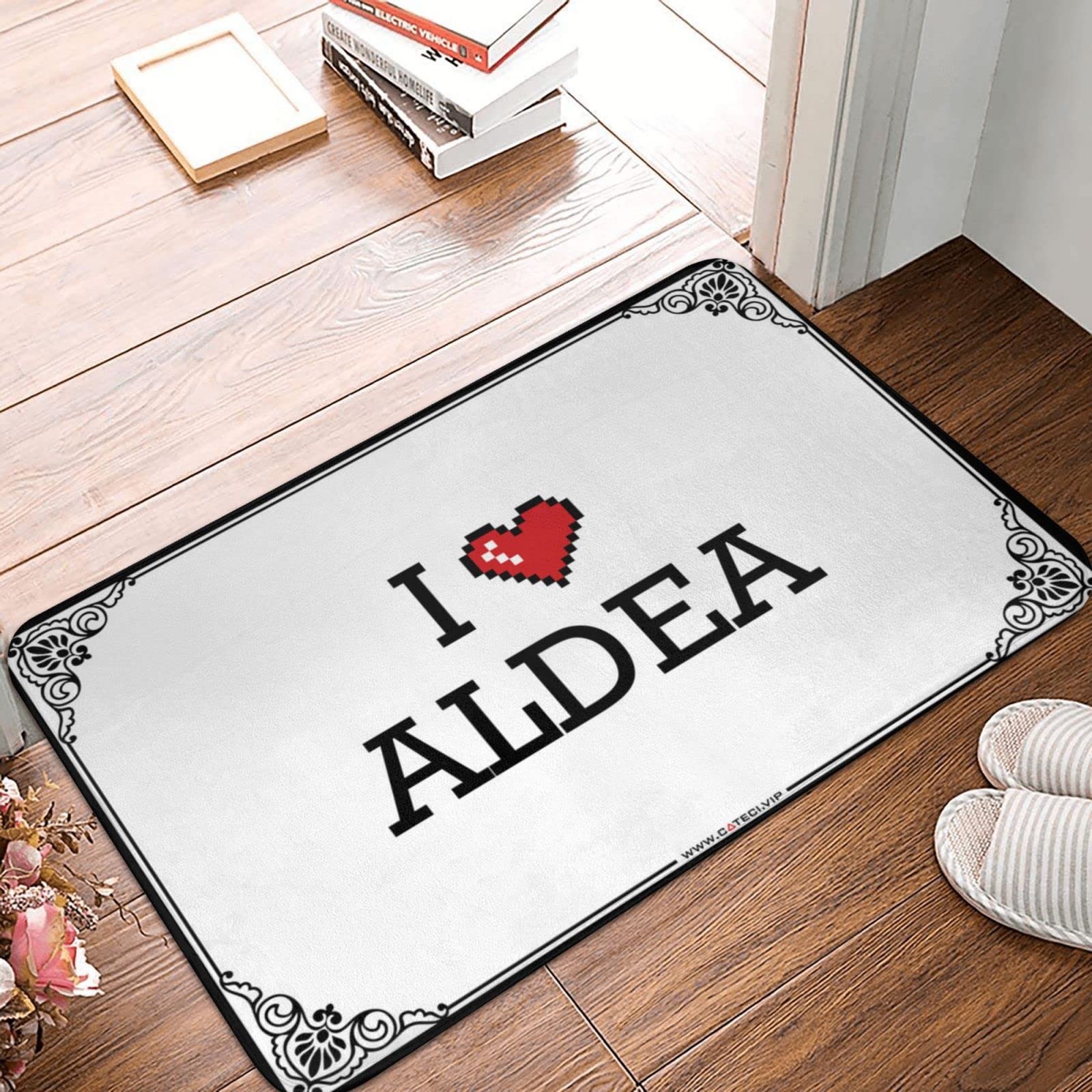 Tapis de bienvenue pour salle de classe et accessoires de bureau pour homme 65 x 90 cm Aldea