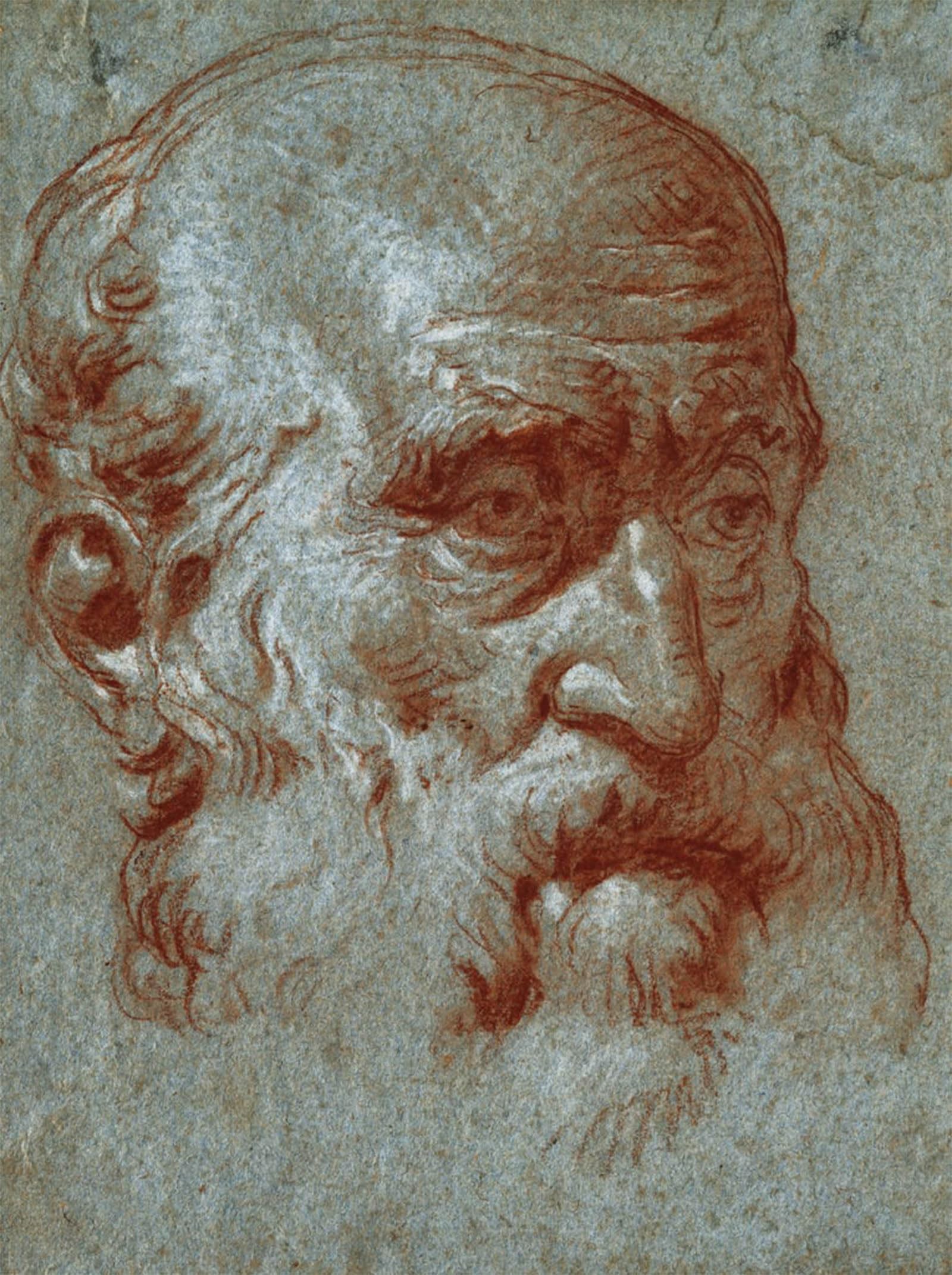 ARTXLXXBN Famous Painting Art Wall Decor Abstract Art Picture Head of a Venetian Patrician Threequarter Face by Battista Tiepolo Animal Pictures for Home Decor 60x90cm