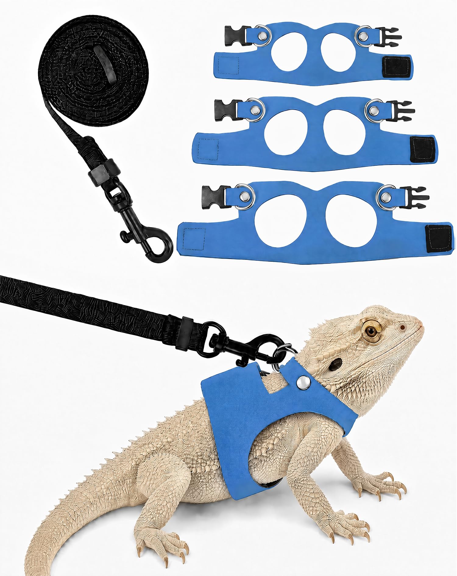Bearded Dragon Harness Leash Set Adjustable 3Size Ferret Lizard Lead Blue