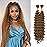 Human Braiding Hair Mix Synthetic Boho Hair for Braiding, 16 Inch Deep Wave Bulk for Boho Braids 2 Pcs Curly Bohemian Wet and Wavy Braiding Hair(27, 16 Inch-2pcs)