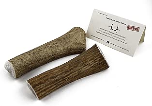 Elk Antlers for Dogs, Premium Grade A Antler Dog Chew, Small, Medium or Large Elk Antlers, Made in USA, Hand Picked for Jim Hodges Dog Training - coolthings.us