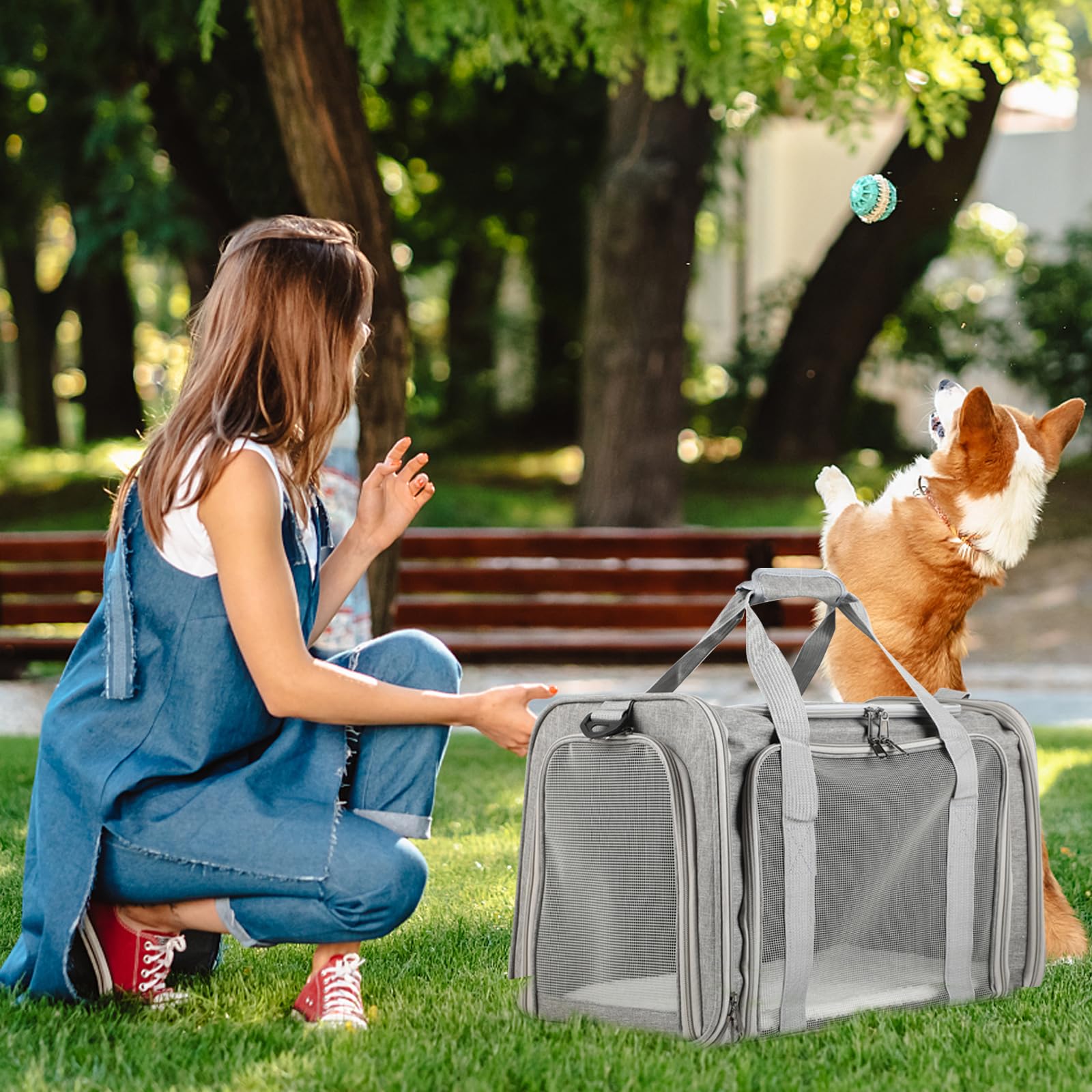 Transportín Perro Plegable – Bolso Gato Transpirable – Bolso Perro Pequeño con Correa para Viajes y Coche (Gris)