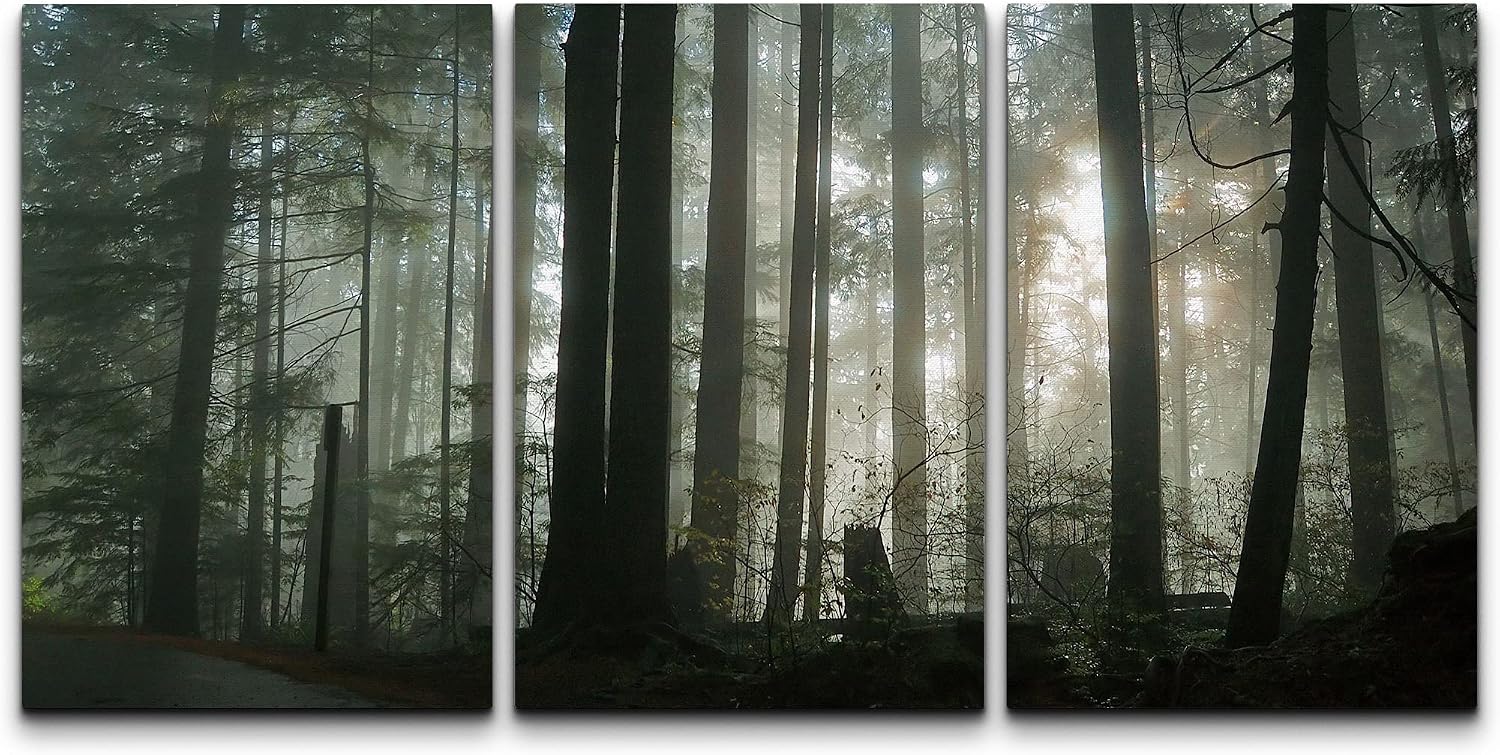 Amazon.com: wall26 Canvas Print Wall Art Set Sunlight Through The Green ...