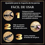 Ver la foto 4