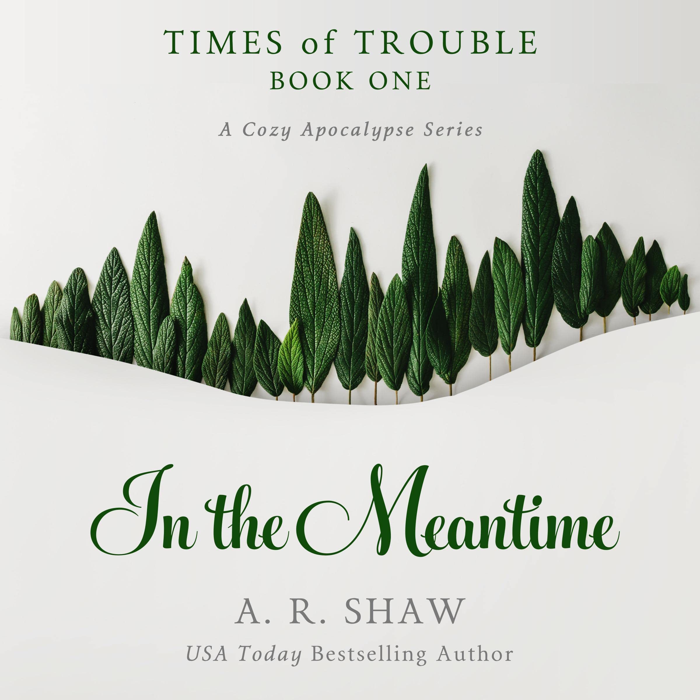 Cover art for In the Meantime