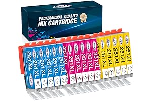 Paeolos Compatible 251XL Ink Cartridges: Premium Ink for Canon Excellence