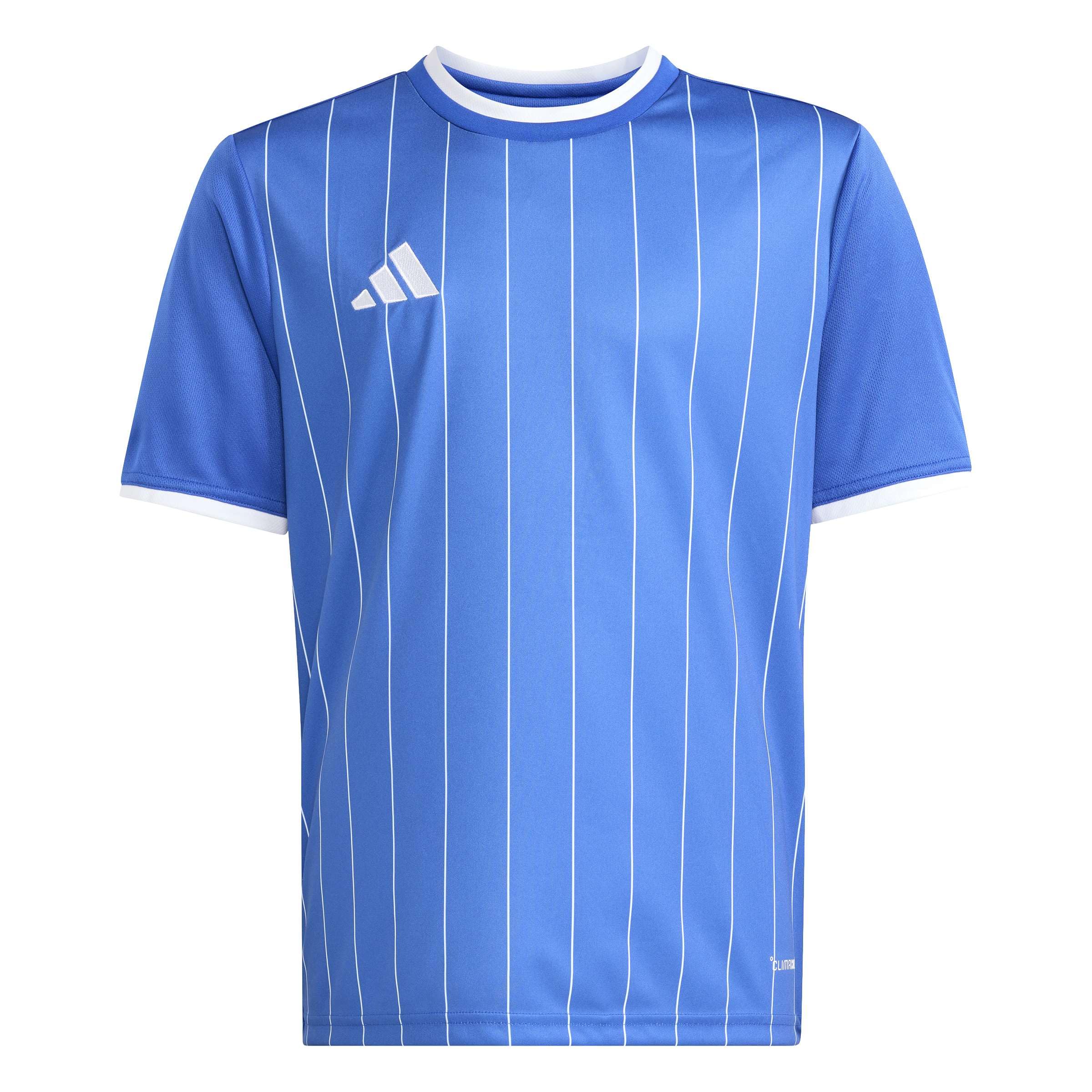 adidas Unisex Kids Entrada26 Graphic Jersey Kids Shirt, Team Royal Blue/White, 9-10 Years