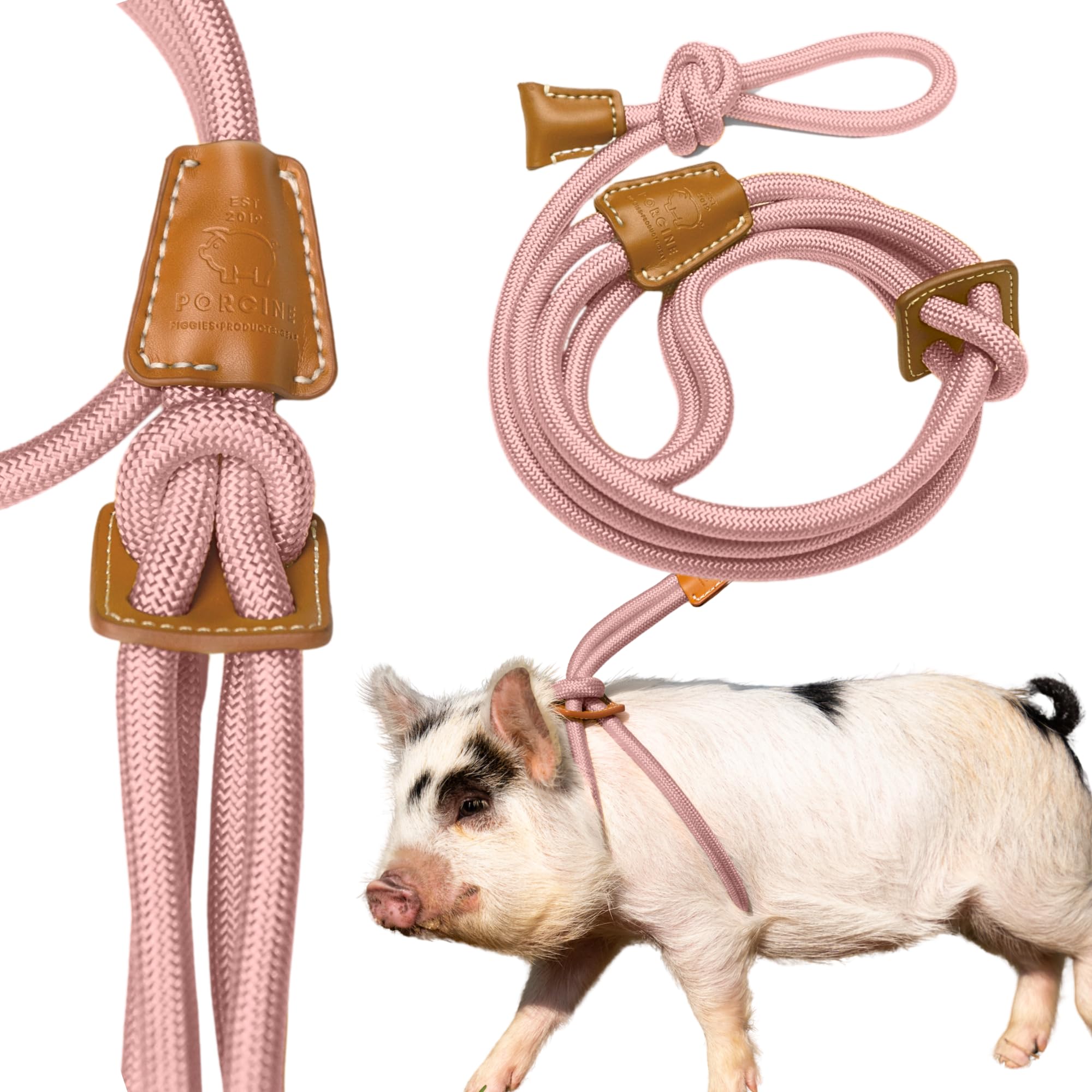 Mini Pig Harness & Leash - Fully Adjustable, Infinity Style Lead, Step-in Harness, Potbelly Supplies, All-in-One - Ideal for Small & Large Pet Pigs (Mauve Pink, Large)