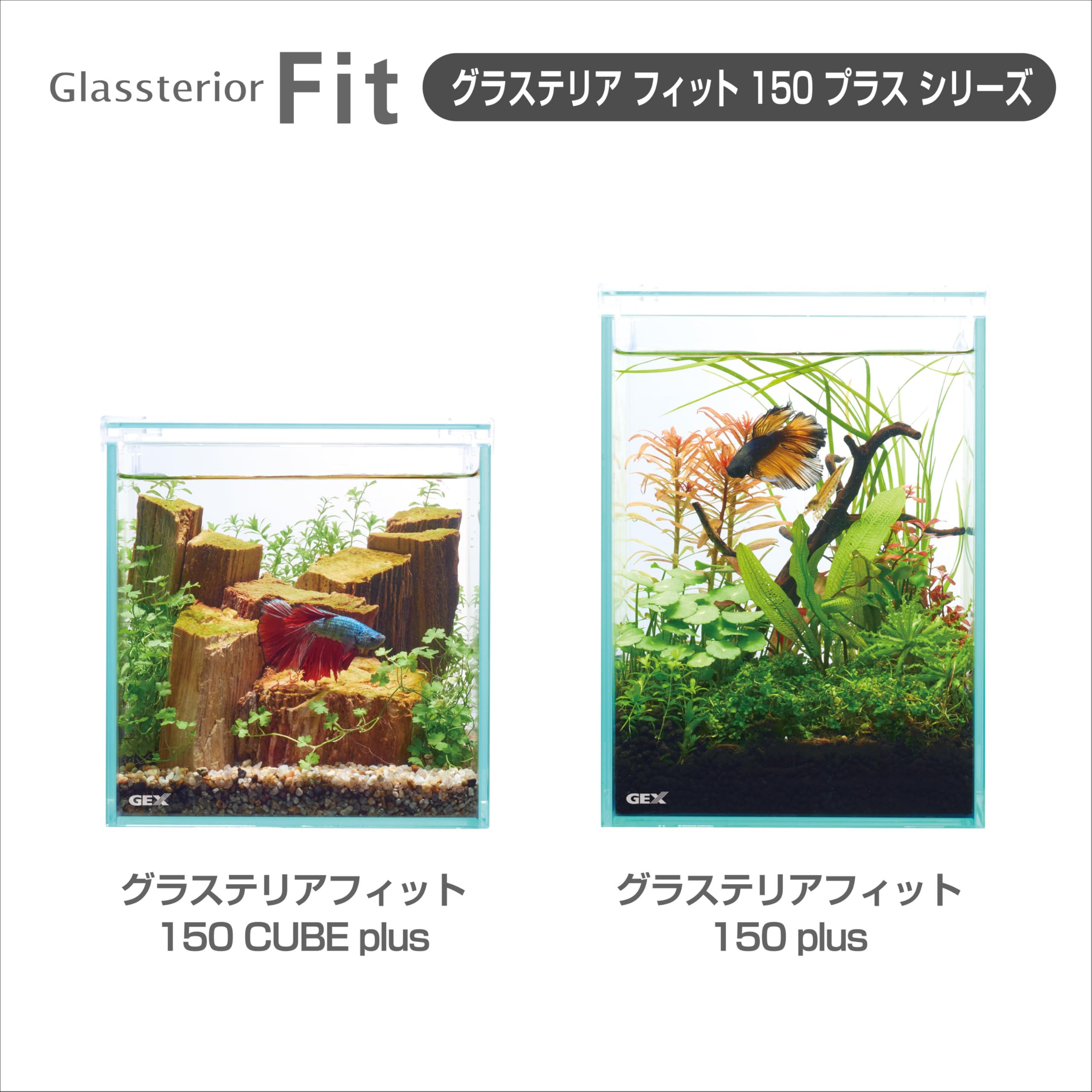 Amazon | ジェックス GEX AQUARIUM グラステリア フィット 150 plus