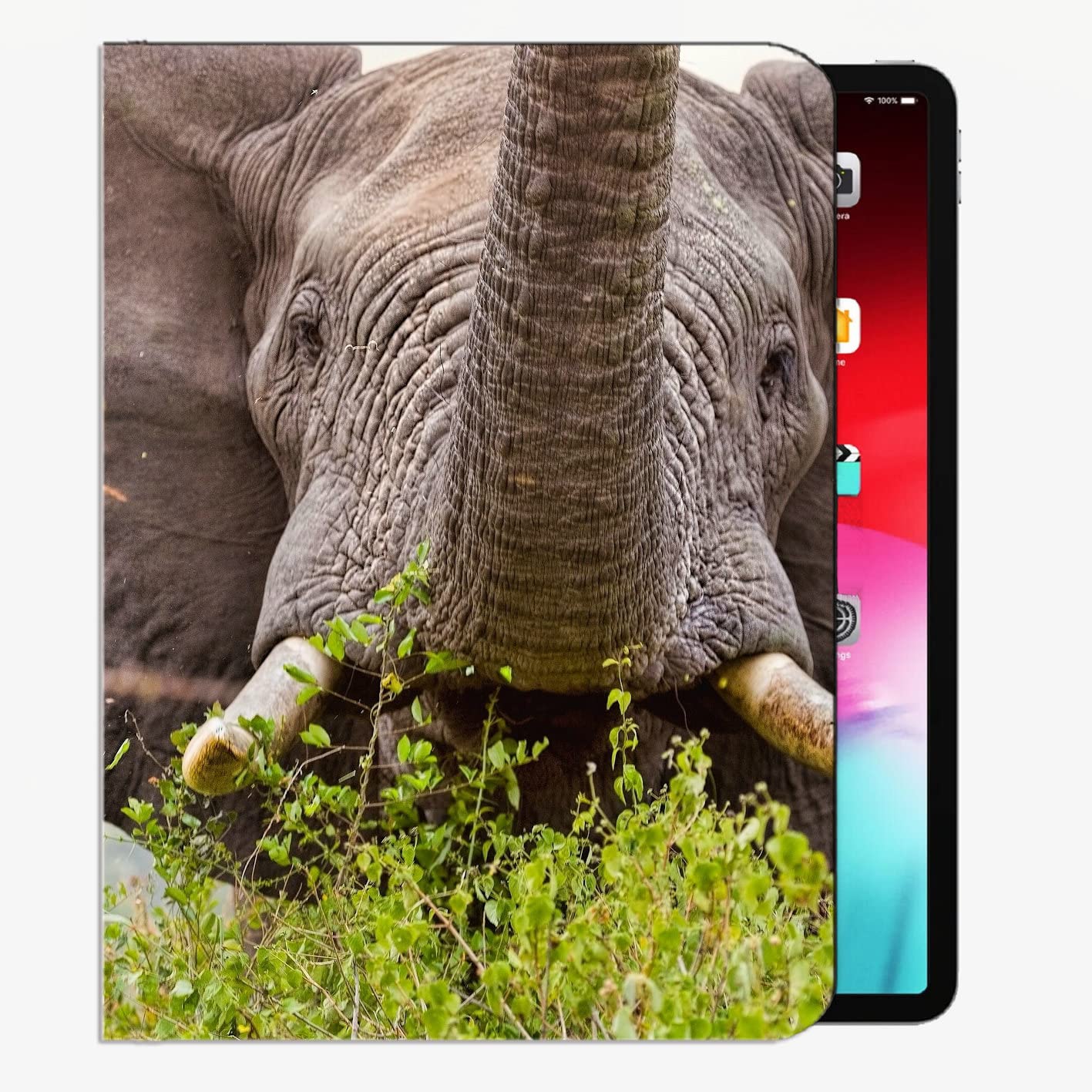 For IPad Pro 12.9 Case 2021/2020 Cover,Elephant Wildlife