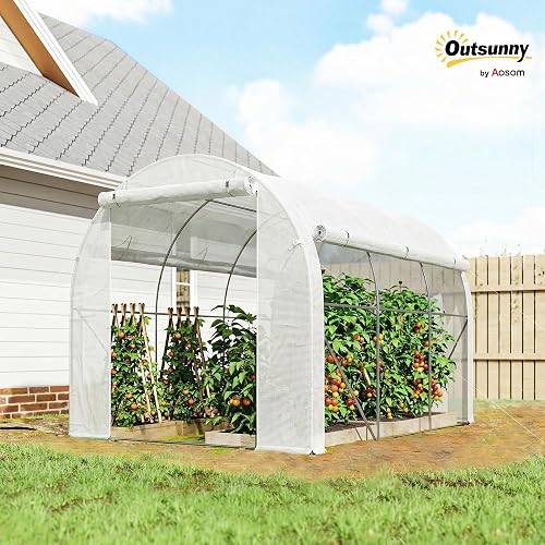 Outsunny Serre de Jardin 6 m² 3 x 2 m 1 Porte 2 Parois Latérales Blanc - 2