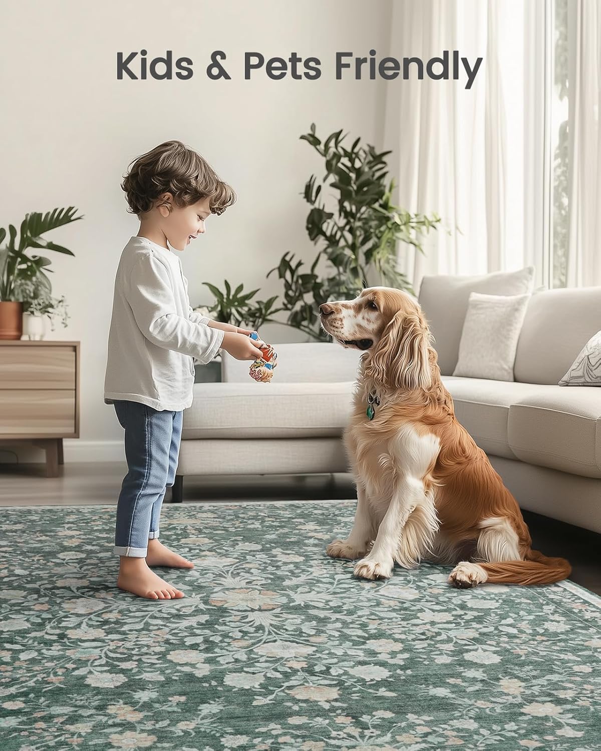 https://m.media-amazon.com/images/I/81oc9hqTuwL._AC_SL1500_.jpg