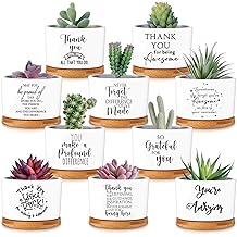 Yaomiao 10 Pcs Thank You Employee Appreciation Gifts Bulk Succulent Plant Gifts for Women Ceramic Pot Succulent Flower Pots with Bamboo Tray Thank You Gift for Coworkers Teachers Nurse Volunteer