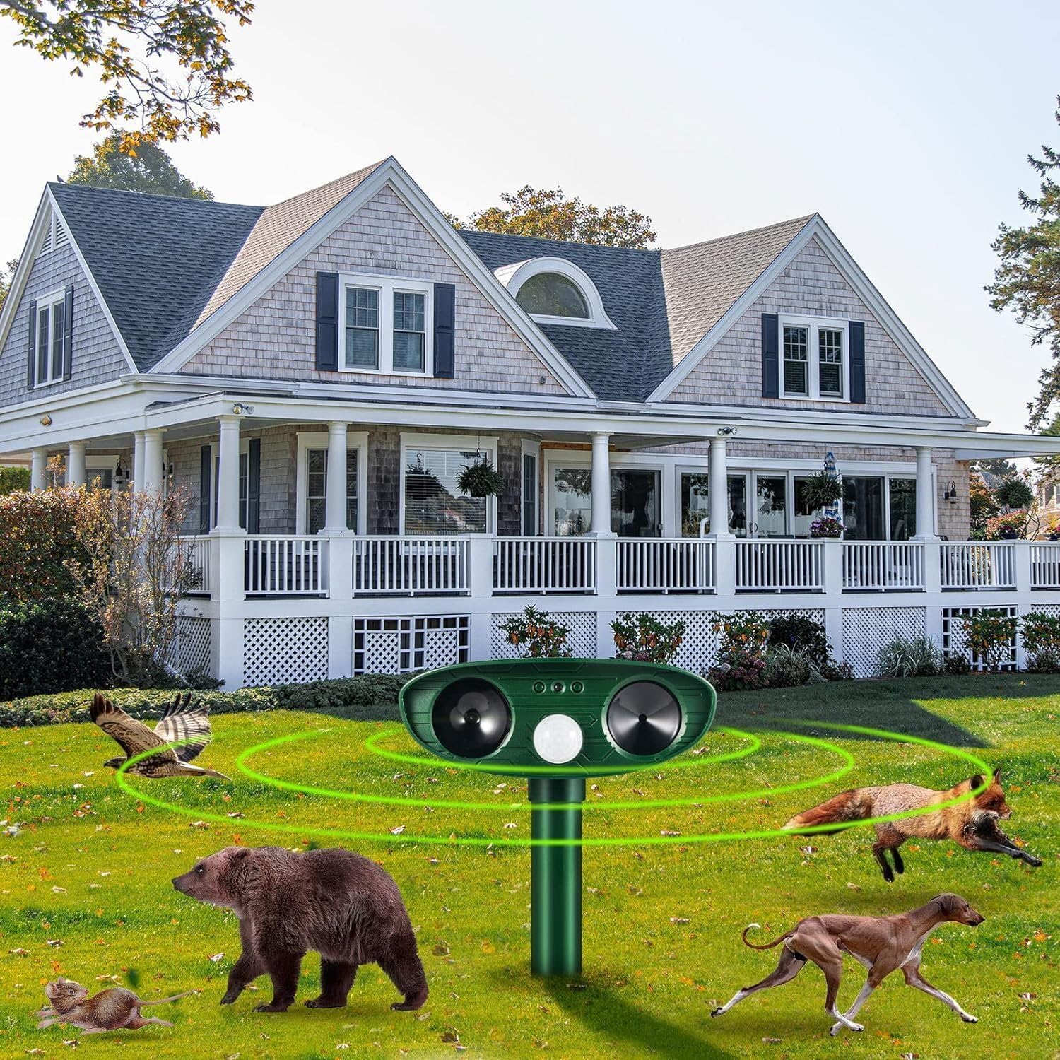 SONICFIELD Ultrasuoni per Piccioni Solare con Sensore PIR, Dissuasore per Uccelli e Volatili, Spaventa Piccioni da Balcone, Repellente per Giardino contro Gatti, Cani, Talpe e Scoiattoli, 225m²