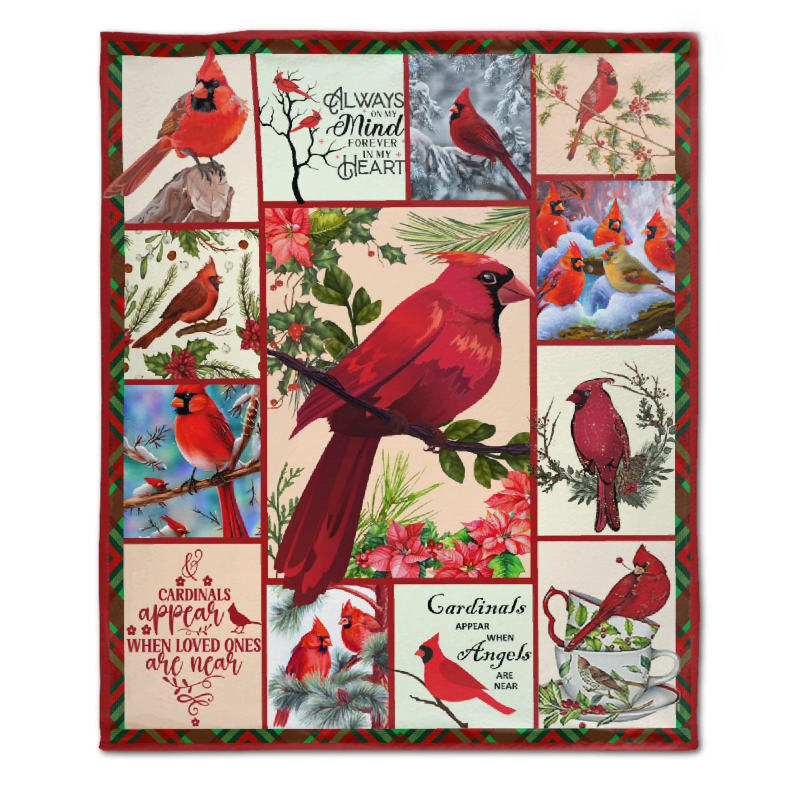 Cardinal Birds Blanket Funny Throw Fleece Soft Cozy Fuzzy Blankets for Gift Picnic Decor for Kids Girls Boys for Room Couch House Travel Full Size 30''×40''for Baby/Pets