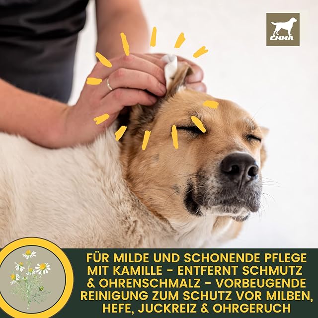Foto 4 de 8 de Limpiador de oídos para perros I Limpieza de oídos para perros para el cuidado de los oídos I Eliminador…
