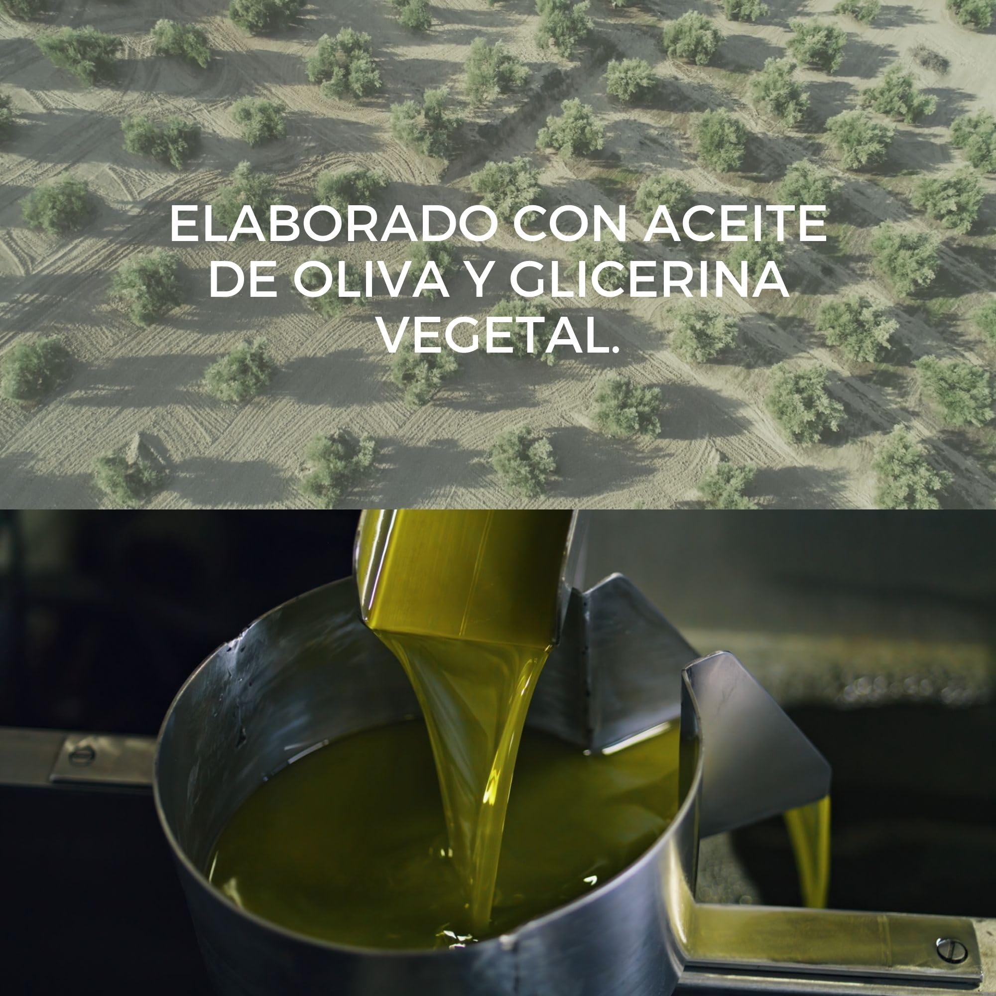 AUTÉNTICO JABÓN DE CASTILLA ECOLÓGICO Aceite de Oliva Limpiador Manos Corporal Pelo Gel limpiador Facial Cocina Ropa Jabón Coche 1000 ml Jabon Castilla Líquido