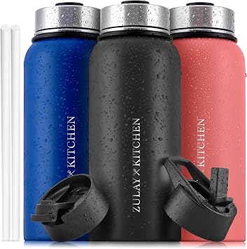 Hydration Nation 3 Lid 18 Ounce Vacuum Insulated Water Bottles with Straw - Metal Water Bottle For Sports & Outdoor - Thermo Stainless Steel Water Bottle - Perfect for Hot & Cold Drinks Black