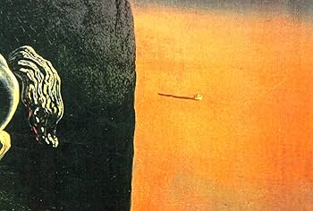 Amazon.co.jp: アートショップ フォームス サルバドール ダリ「死の