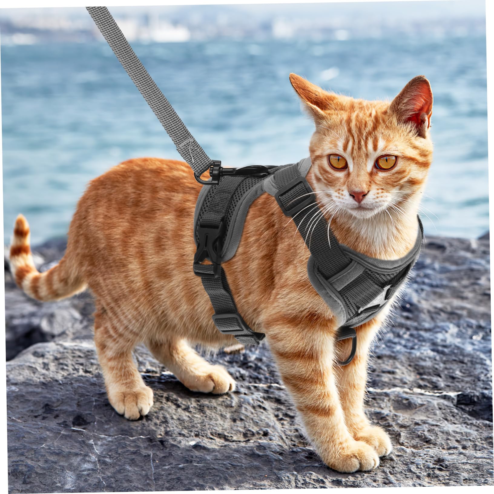 INOOMP 5stücke Hundegeschirr Mit Atmungsaktivem Mesh Reflektierendem Material Und Elastischem Design Für Kleine Hunde Und Katzen Sicheres Und Bequemes Tragegeschirr Für