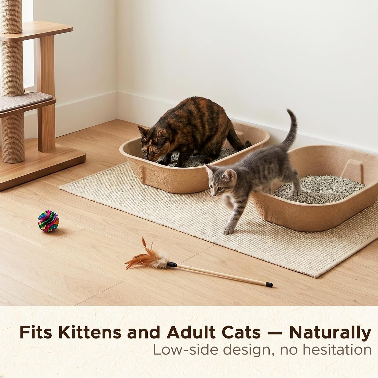 3-Pack Disposable Litter Box for Kittens: Medium Open Pan for Small Cats