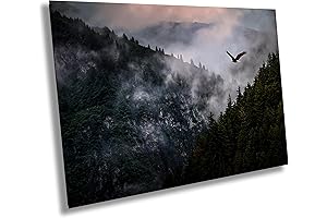 American Bald Eagle Alaska Frontier Triptych