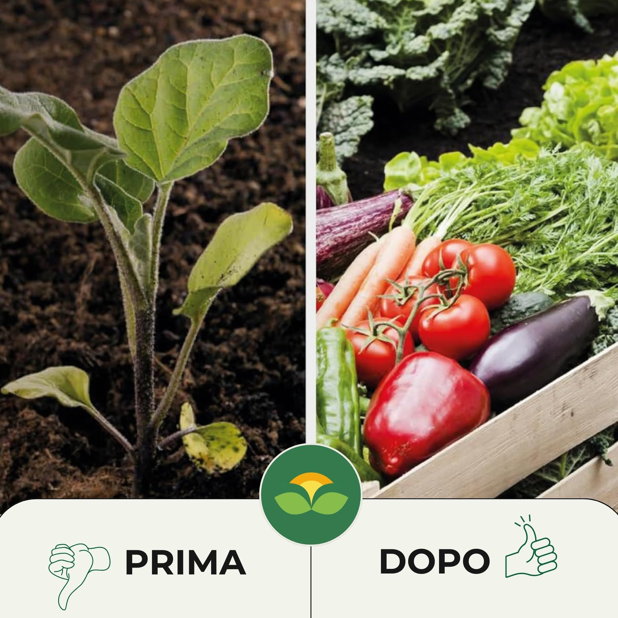 Albagarden - Concime Piante Universale Blu Granulare - MAXI 5 KG - Per Ortaggi, Piante Da Frutto e Fiori