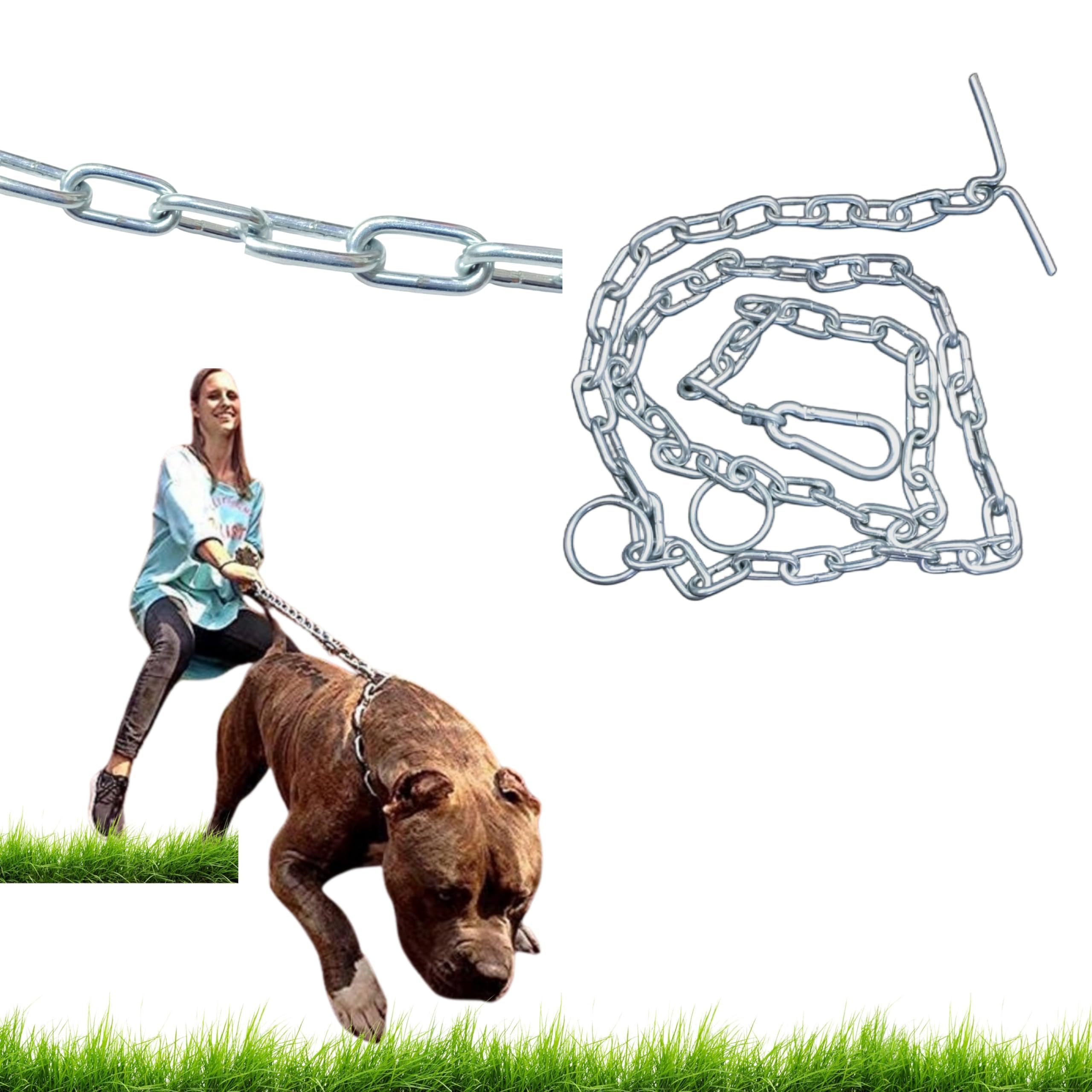 MUNCHOS Dog Non-Breakable Stainless Steel Chain Leash with Brass Welding (Large) (B0CQ2HNWZP) Amazon Price History, Amazon Price Tracker