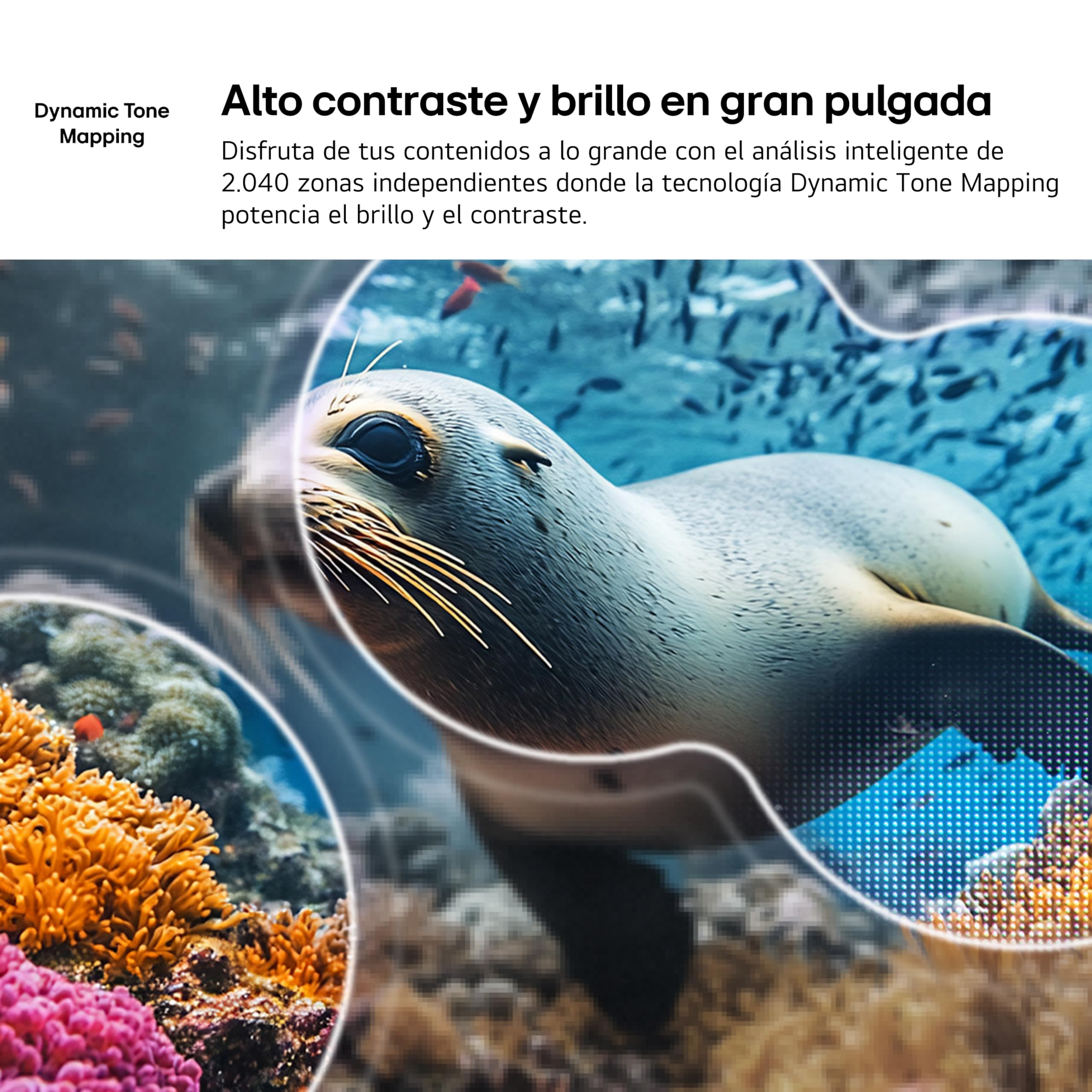 LG 75NU850B6LA - Smart TV Nano 4K UHD AI NU85 75 Pulgadas, Sin Reflejos al 94%, webOS 26 AI Copilot y Gemini, Procesador Inteligente α7 AI Processor 4K Gen9, HDR10 Pro, 4K Super Upscaling, Dolby