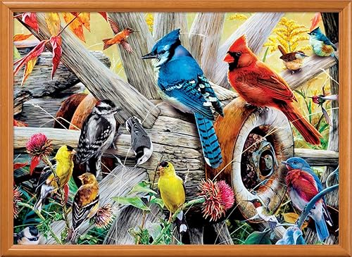 Miniatura 6 de MasterPieces Audubon 1000 Puzzles Collection - Rompecabezas de 1000 piezas, collage de pájaro cantor