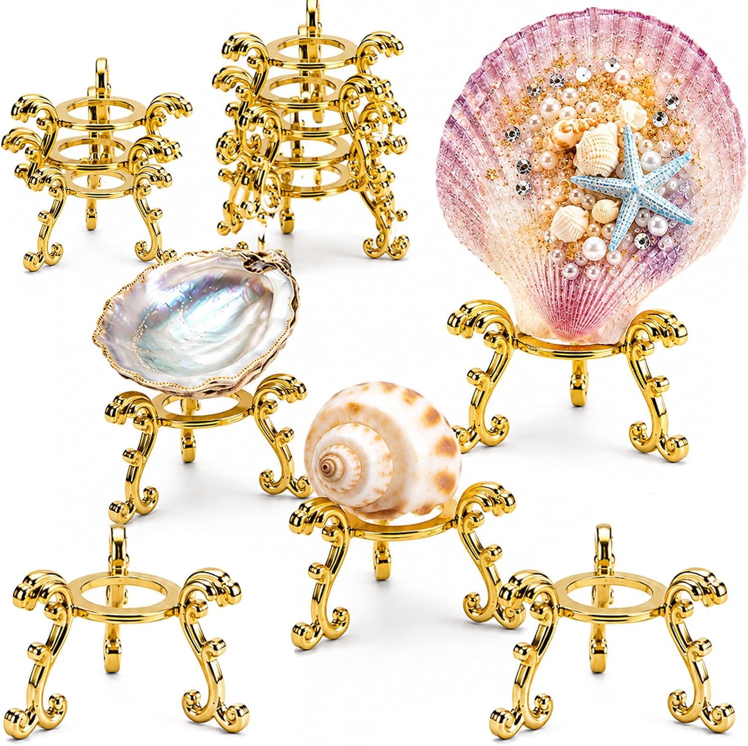 12 Pcs Oyster Sea Shell Holder Seashell Gold Metal Display Stand