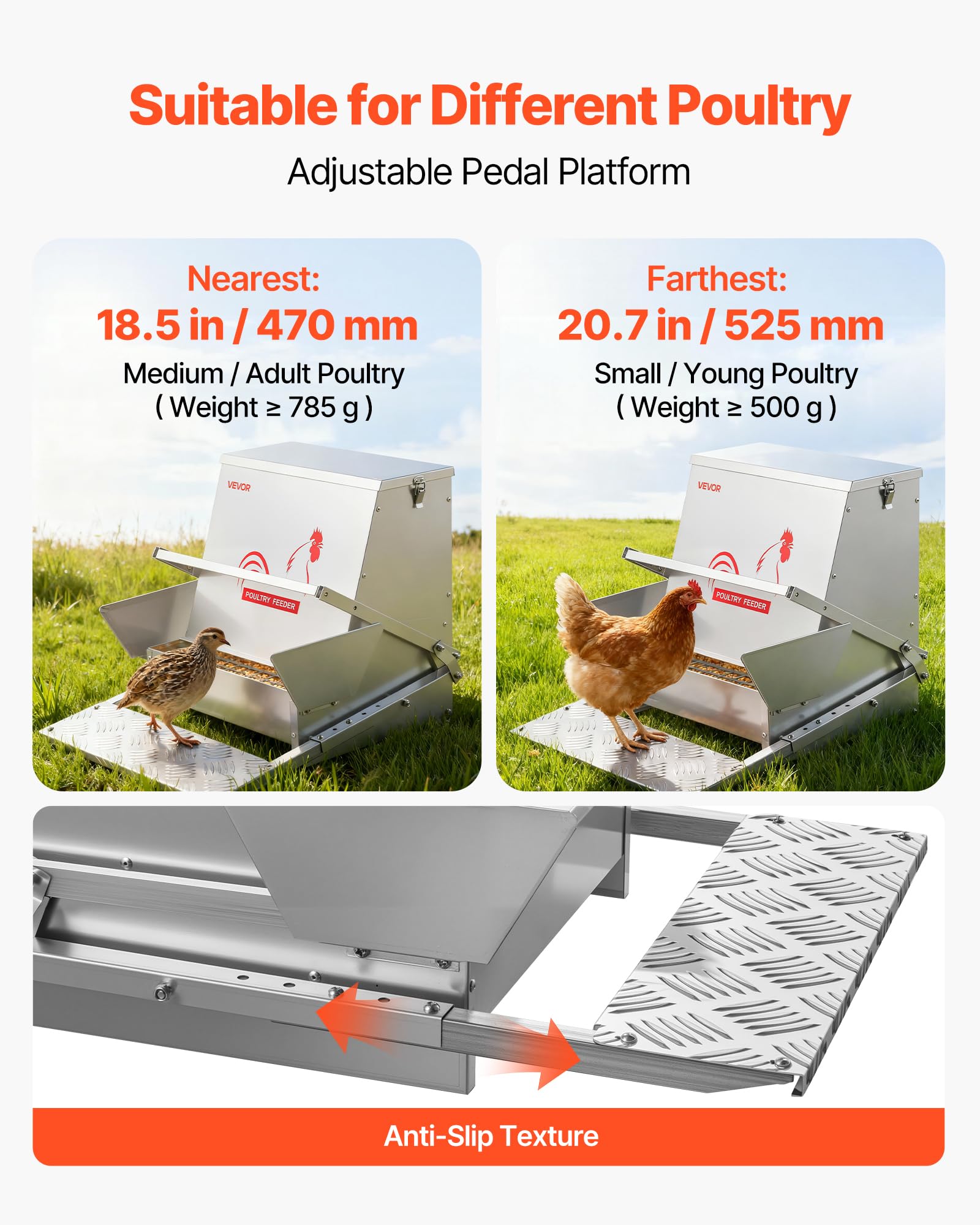 VEVOR Mangiatoia Automatica per Polli, Capacità di 18,14 kg, Mangiatoia per Pollame a Pedale Antipioggia con Coperchio Bloccabile, Senza Sprechi, Struttura in Acciaio Zincato, per Galline Nane