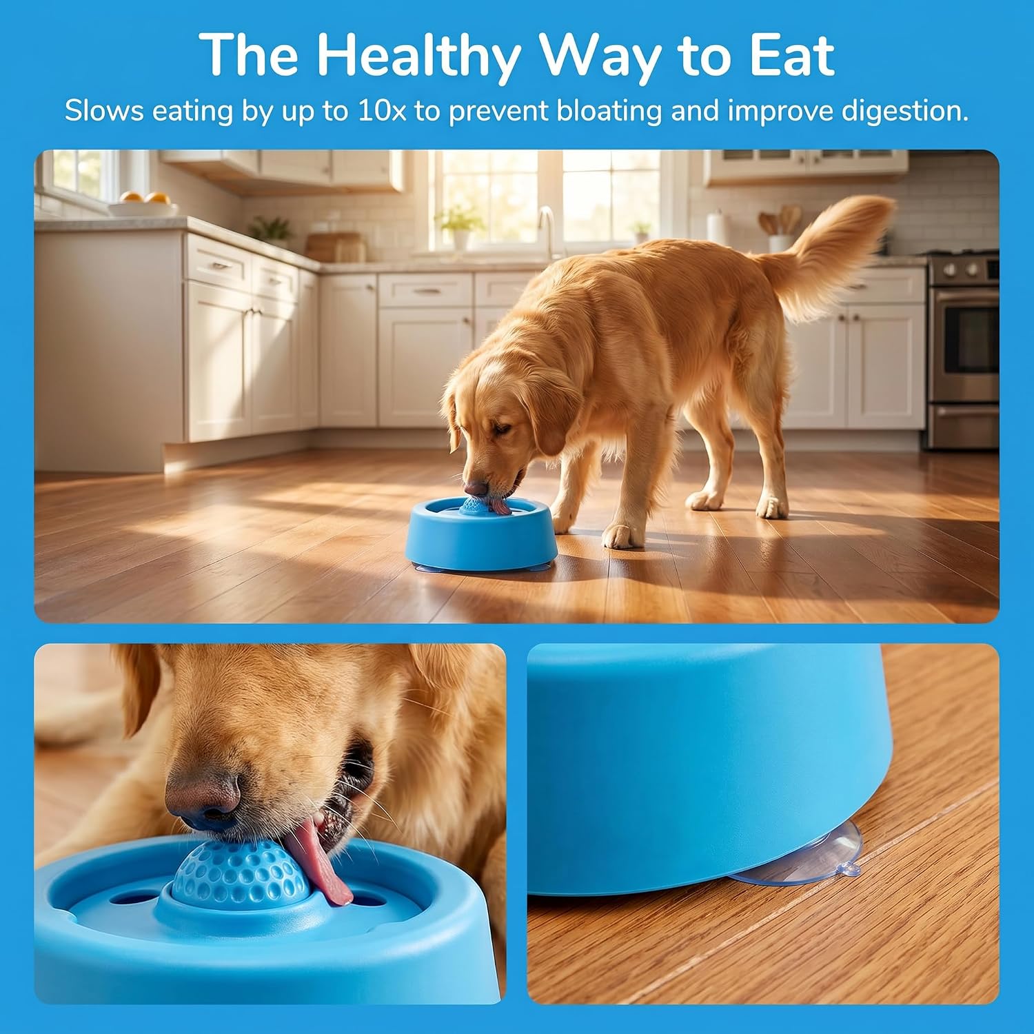 Dog Lick Bowl with Roller Ball, Slow Feeder, Blue image 5