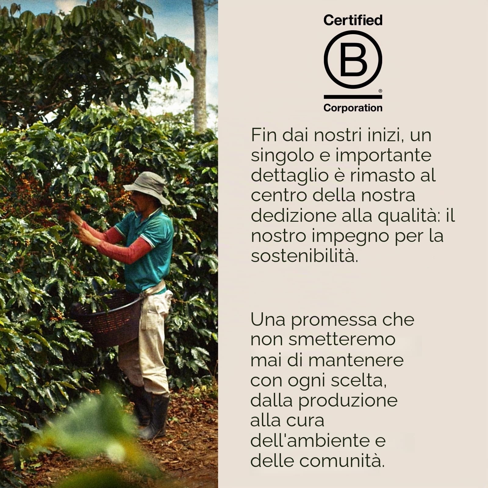 illy Intenso - Caffè istantaneo, forte arrosto, intenso, robusto e completamente aromatizzato con note di cacao profondo, 100% caffè arabica, senza conservanti, barattolo da 94 ml (1 pezzo)