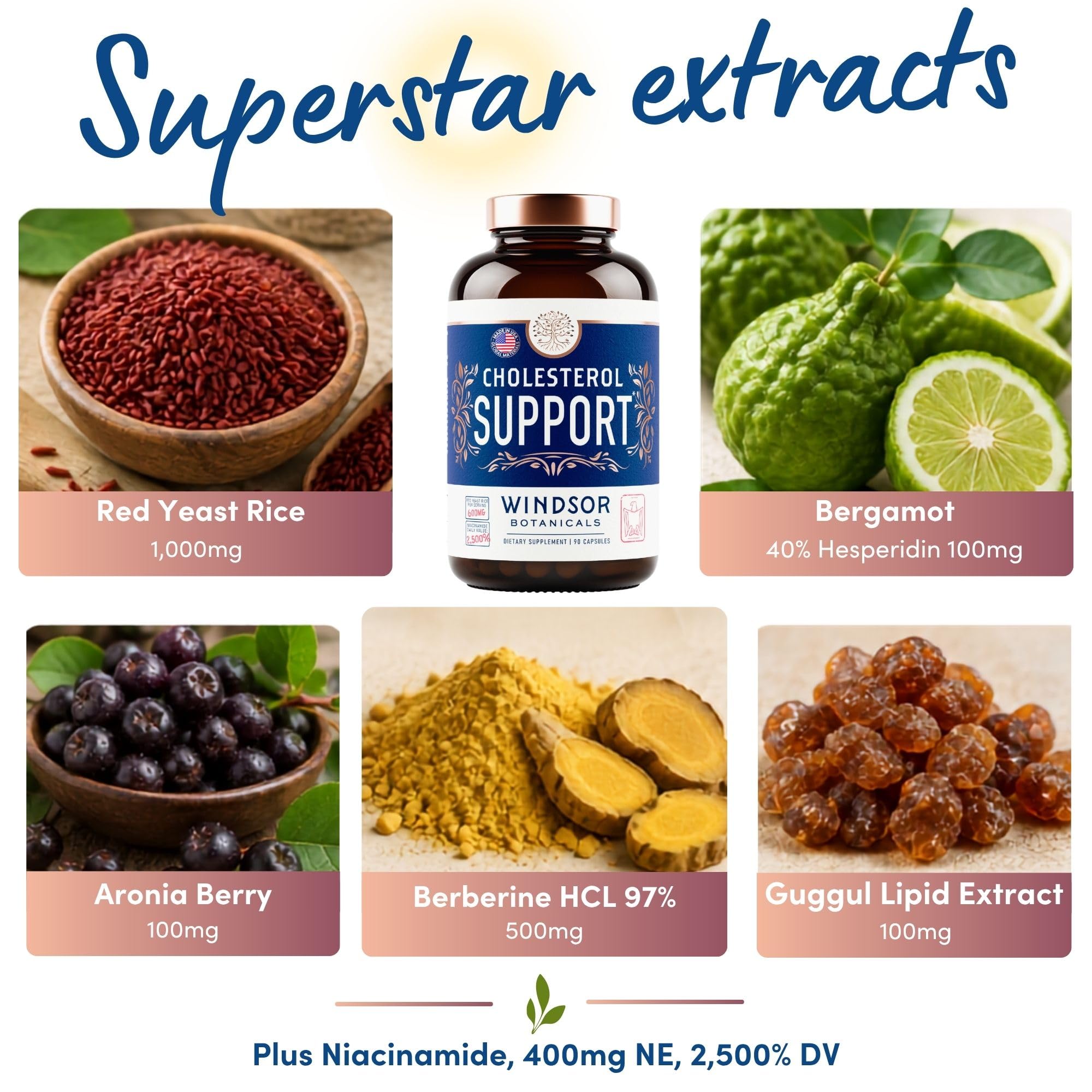 WINDSOR BOTANICALS Cholesterol Supplements - Citrus Bergamot, Niacin, Red Yeast Rice, Berberine, Aronia Berry Extract to Support Normal HDL and LDL Cholesterol Levels - 90 Vegan, Non-GMO Capsules — Amazon image 5