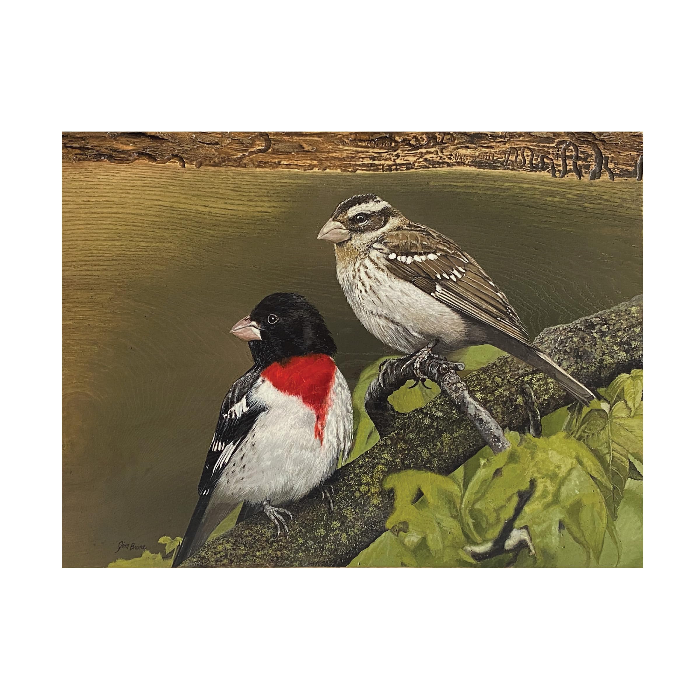 Trademark Fine Art Canvas Wall Art - Jim Brune 'Rose Breasted Grosbeak Pair' Wall Art for Living Room, Bedroom, or Office Décor 32 x 24 Inches
